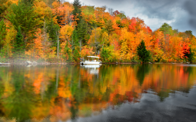 Lake Hartwell Real Estate